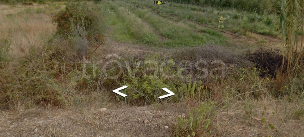 immagine annuncio 1 di 8