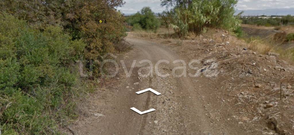 immagine annuncio 3 di 8