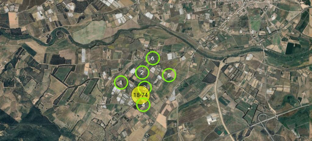 immagine annuncio 4 di 8