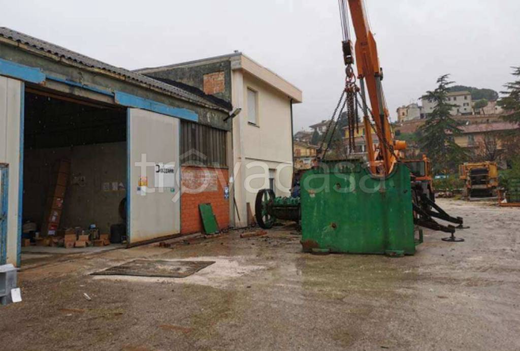 immagine annuncio 5 di 11