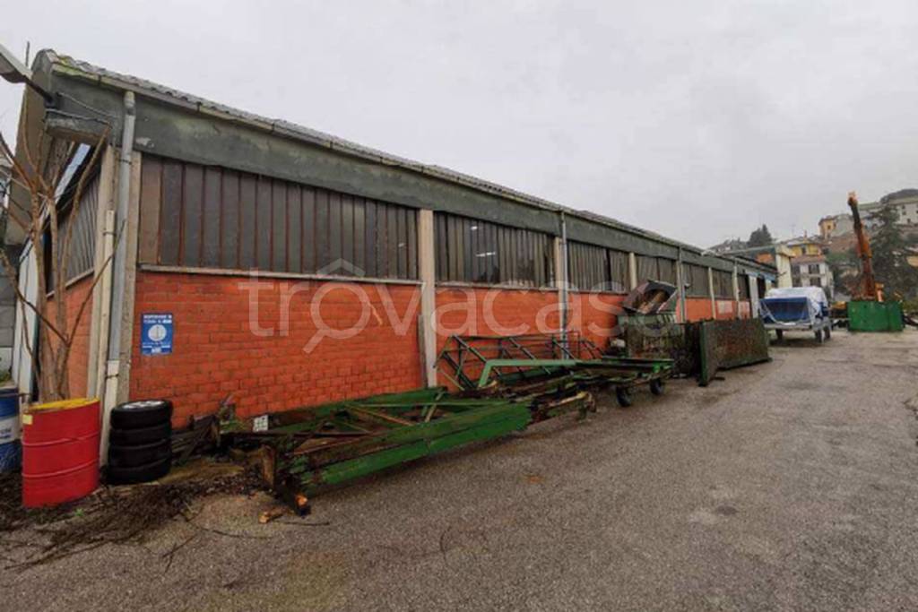 immagine annuncio 6 di 11