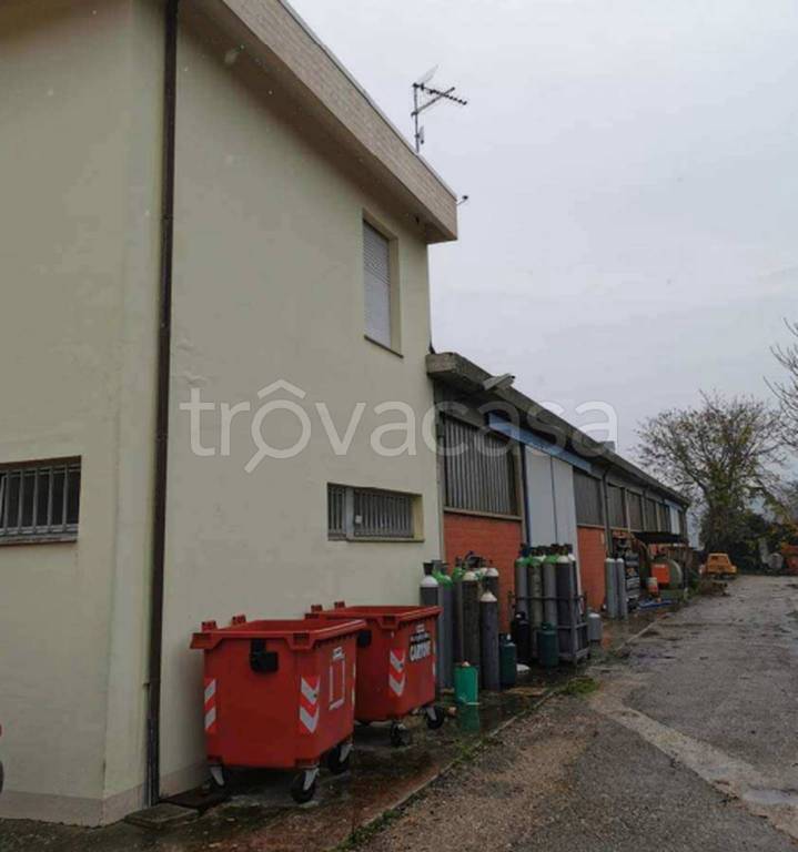 immagine annuncio 8 di 11