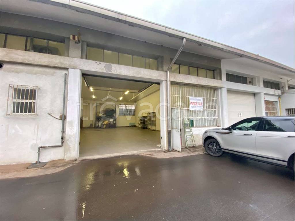 immagine annuncio 10 di 15