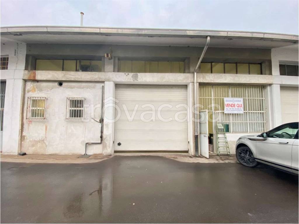 immagine annuncio 11 di 15