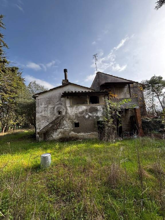 immagine annuncio 3 di 7