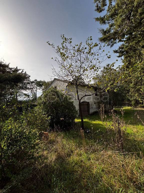 immagine annuncio 6 di 7