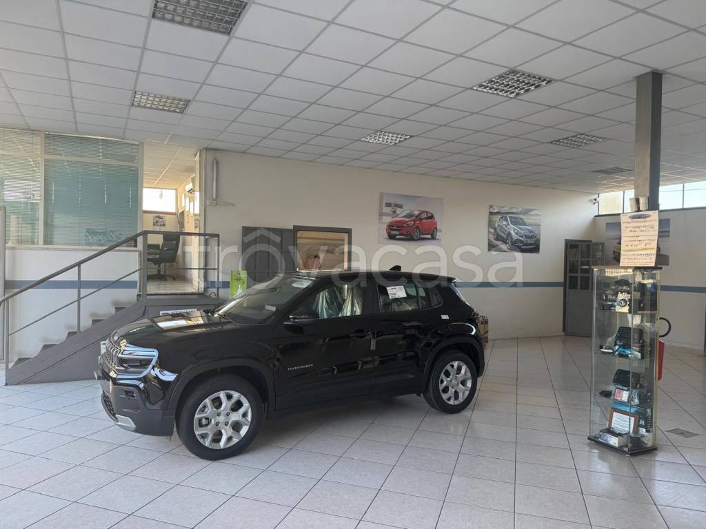 immagine annuncio 3 di 7