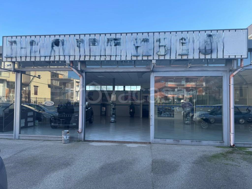 immagine annuncio 4 di 7