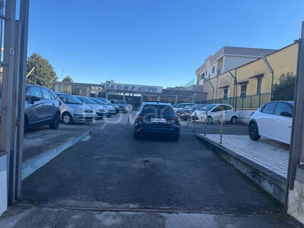 immagine annuncio 6 di 7