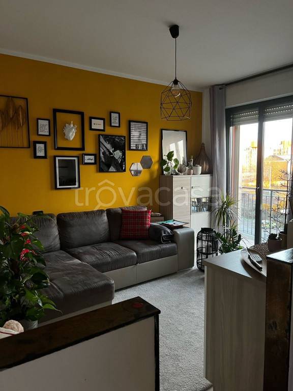 immagine annuncio 10 di 15