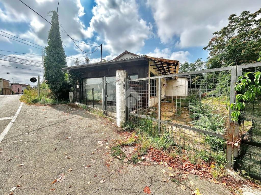 immagine annuncio 4 di 15