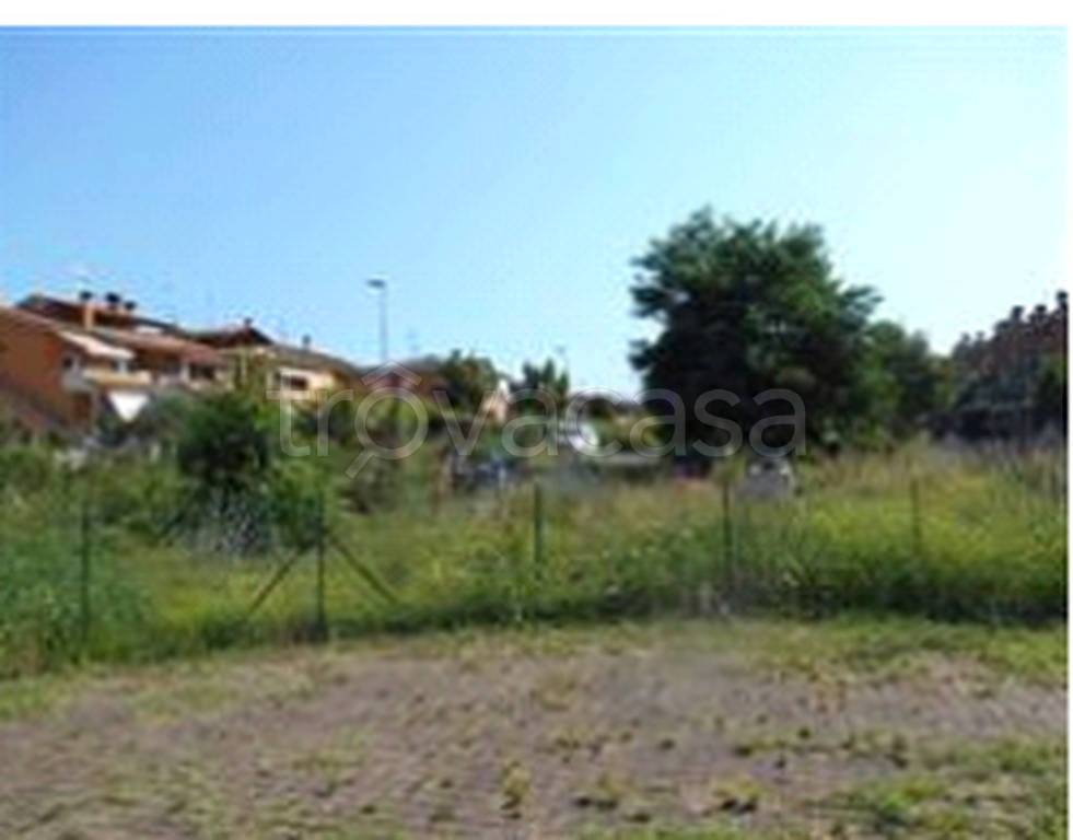 immagine annuncio 3 di 11