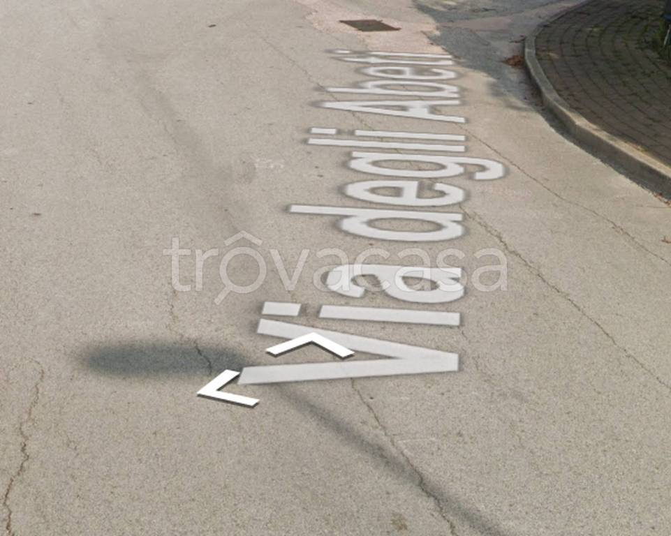 immagine annuncio 5 di 11