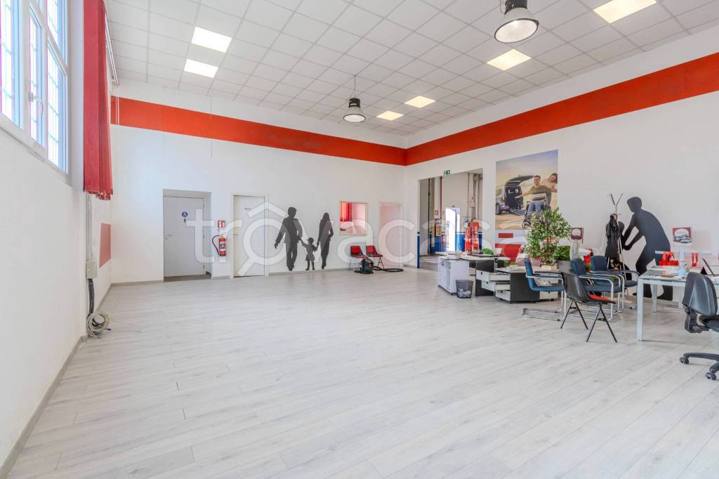 immagine annuncio 4 di 15