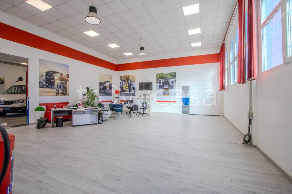 immagine annuncio 12 di 15