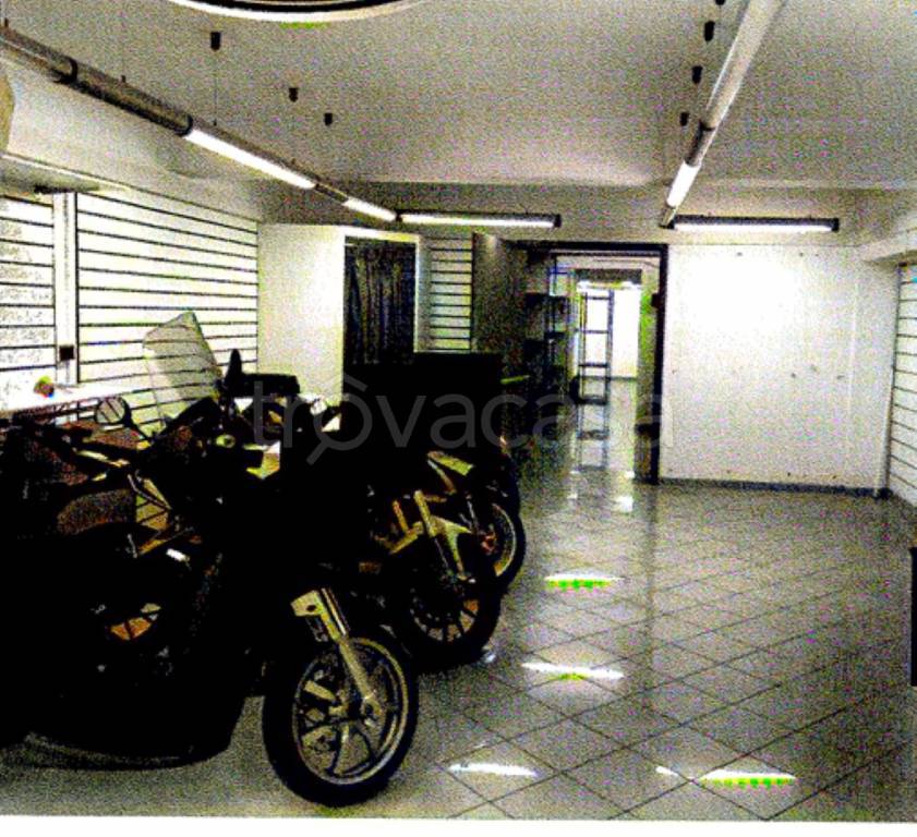 immagine annuncio 9 di 12