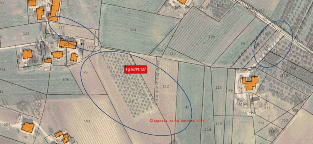 immagine annuncio 2 di 11