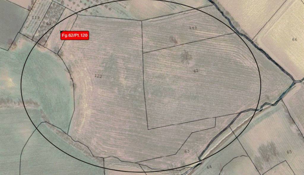 immagine annuncio 4 di 11