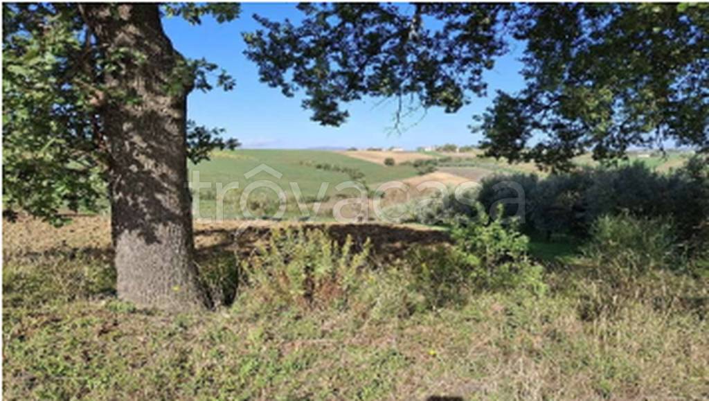 immagine annuncio 8 di 11