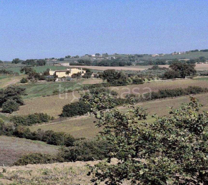 immagine annuncio 10 di 11