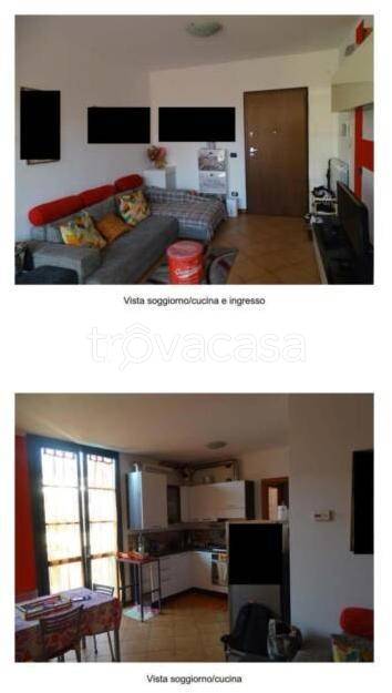 immagine annuncio 6 di 11