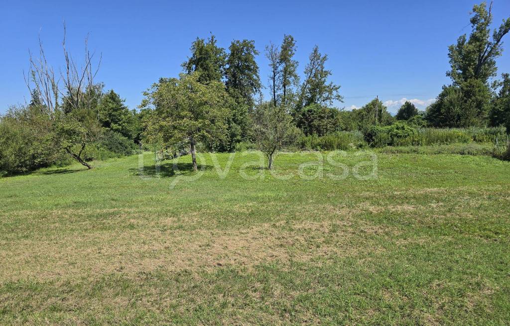 immagine annuncio 10 di 11