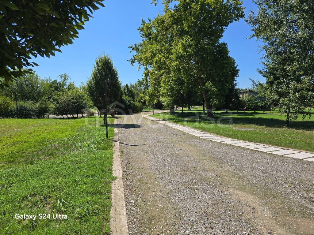 immagine annuncio 6 di 11