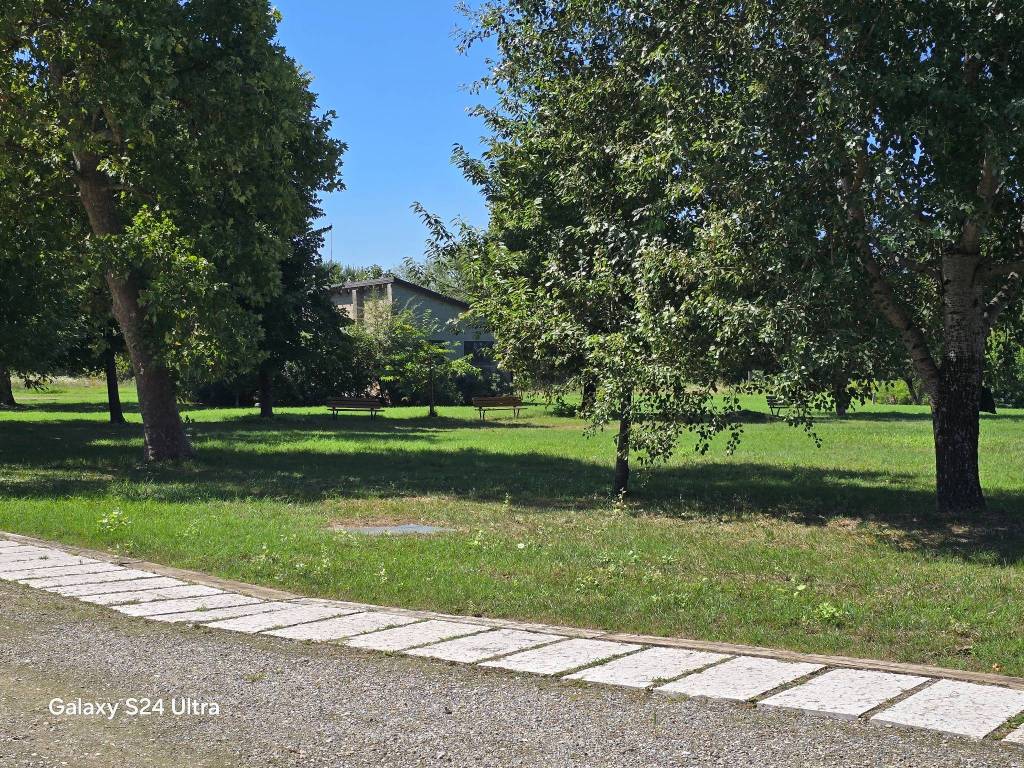 immagine annuncio 8 di 11