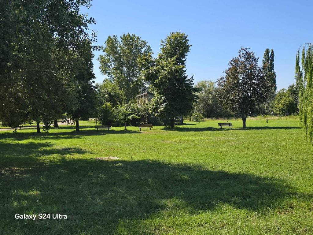 immagine annuncio 3 di 11