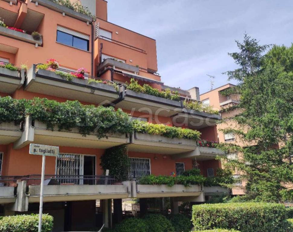 immagine annuncio 9 di 11