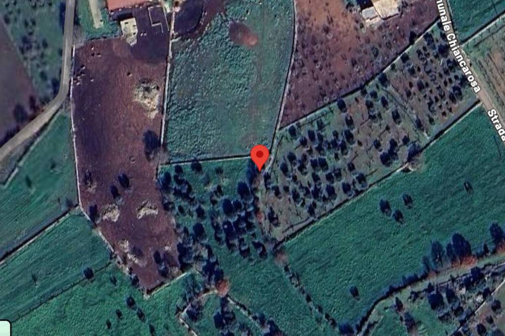 immagine annuncio 7 di 10