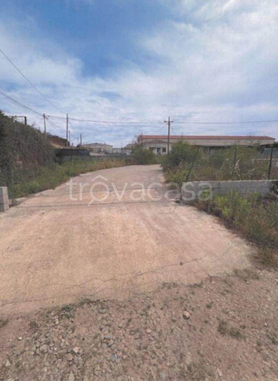 immagine annuncio 2 di 14