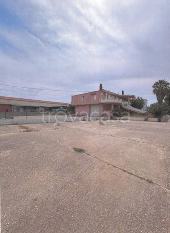 immagine annuncio 3 di 14