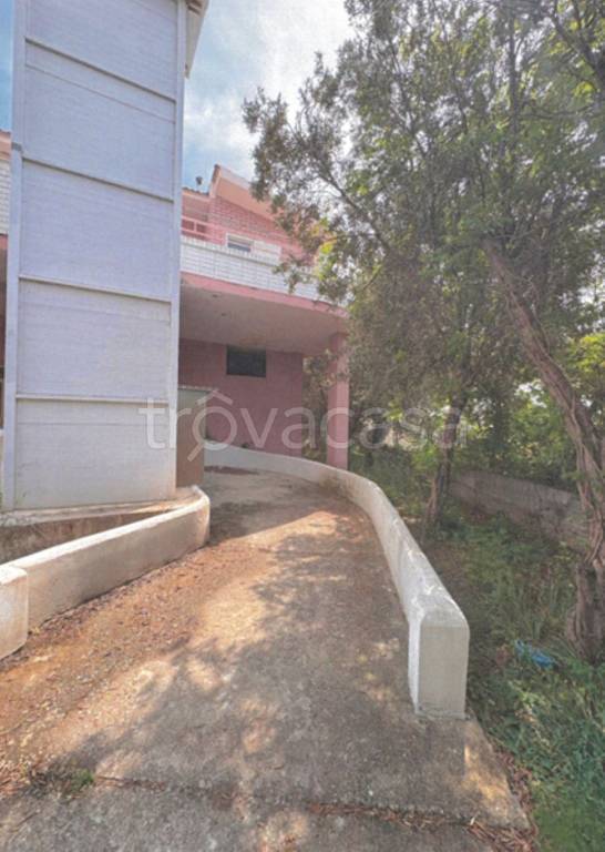 immagine annuncio 4 di 14