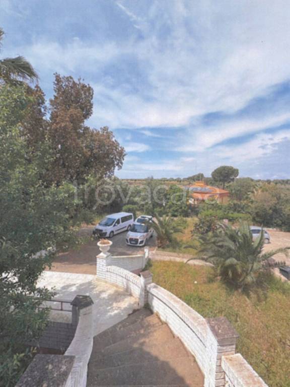 immagine annuncio 5 di 14