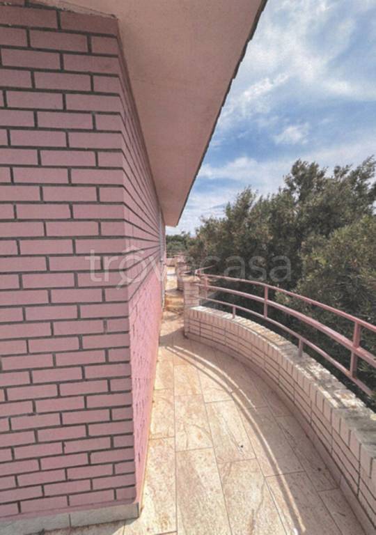 immagine annuncio 6 di 14