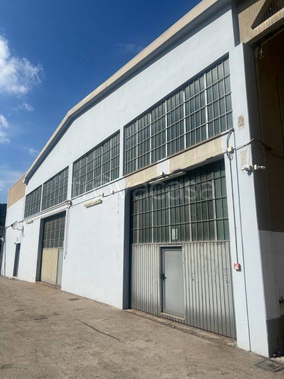 immagine annuncio 1 di 12