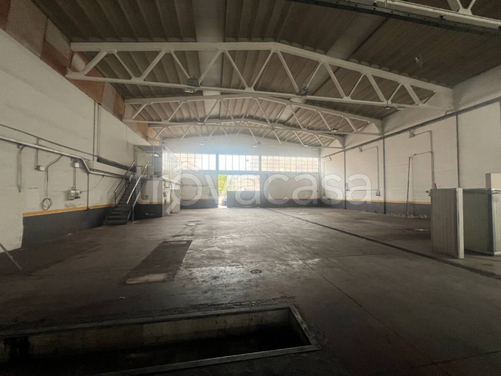 immagine annuncio 2 di 12