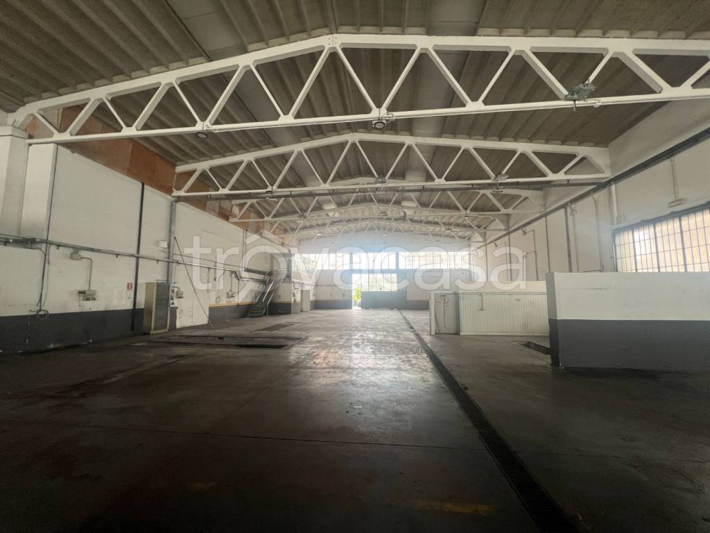 immagine annuncio 3 di 12