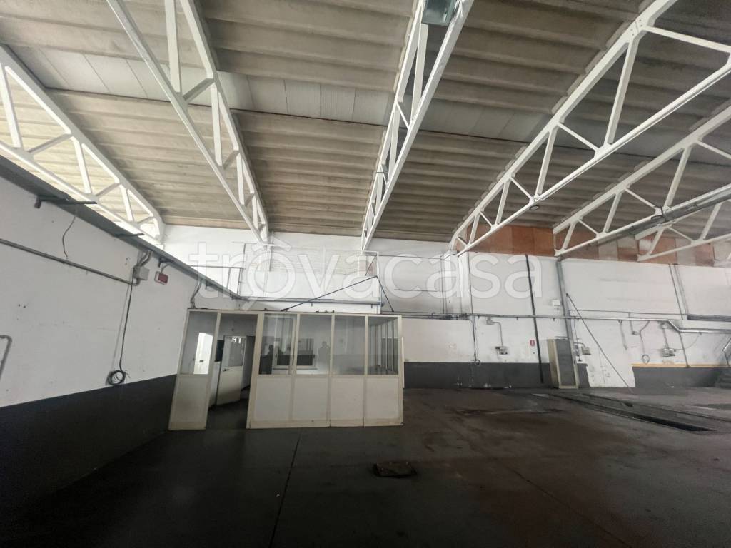 immagine annuncio 4 di 12