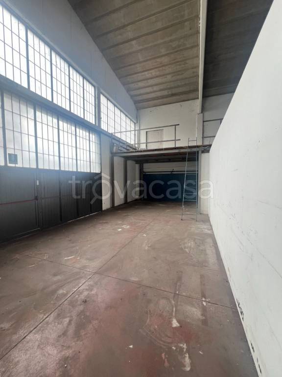 immagine annuncio 6 di 12