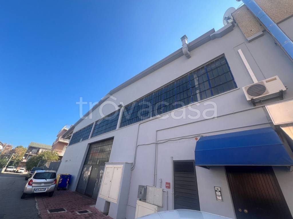 immagine annuncio 7 di 12