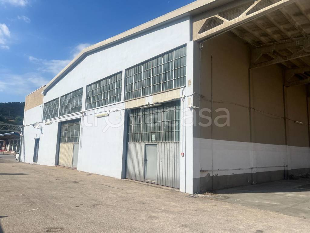 immagine annuncio 9 di 12