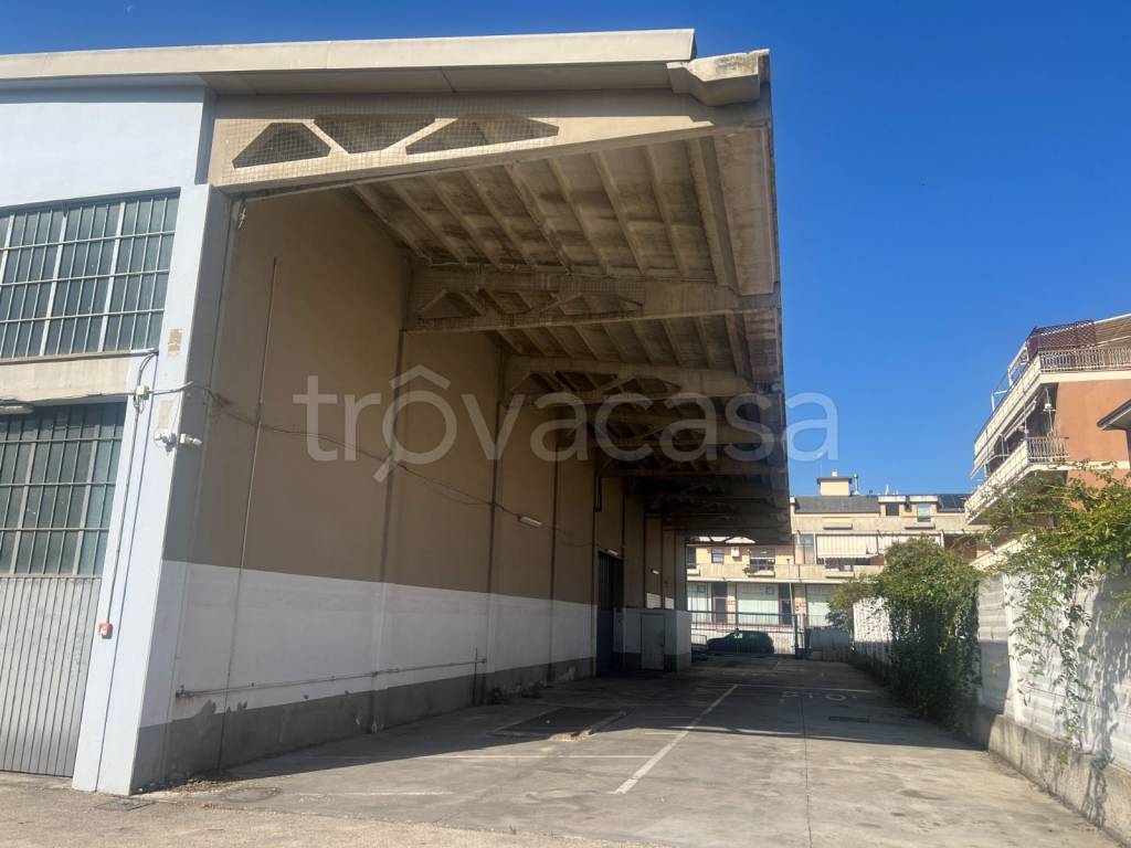 immagine annuncio 10 di 12