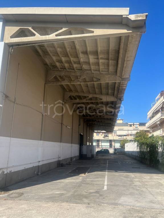 immagine annuncio 11 di 12