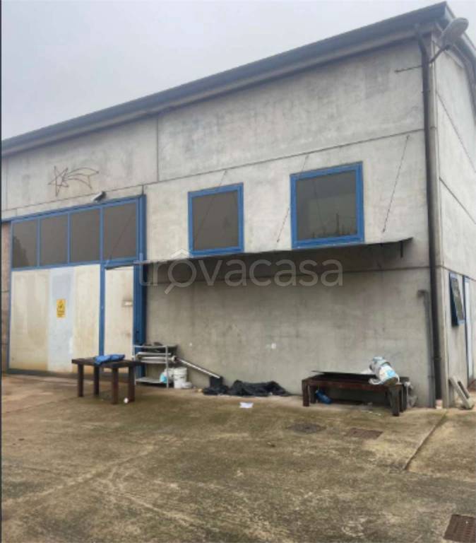 immagine annuncio 6 di 12