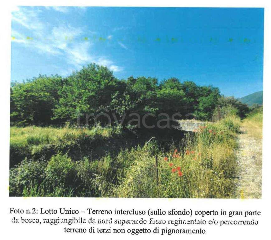 immagine annuncio 2 di 3