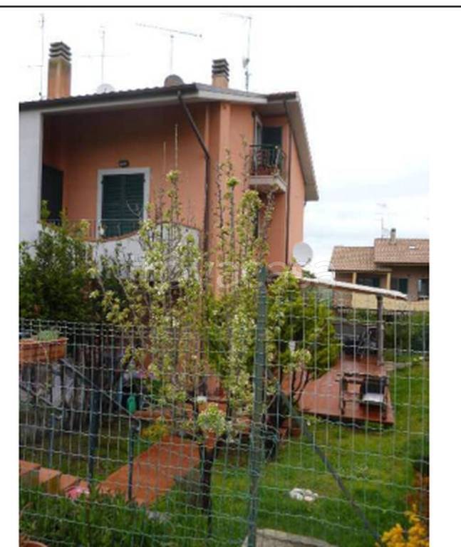 immagine annuncio 3 di 11