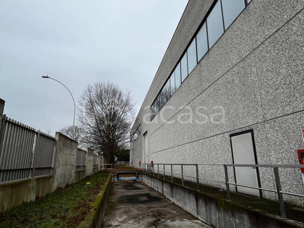 immagine annuncio 6 di 8