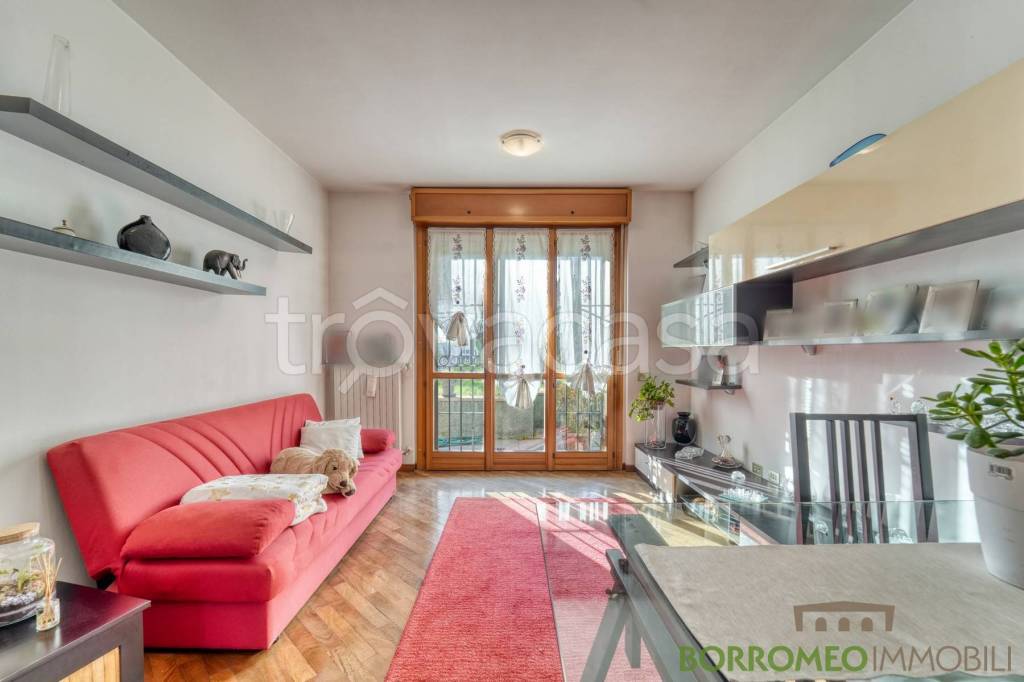 immagine annuncio 4 di 15